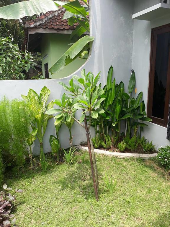 Renaya Griya Salakan Exterior foto